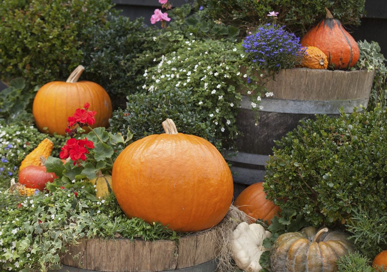 Halloween Decor In The Garden