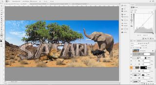 image with safari written on it and animals