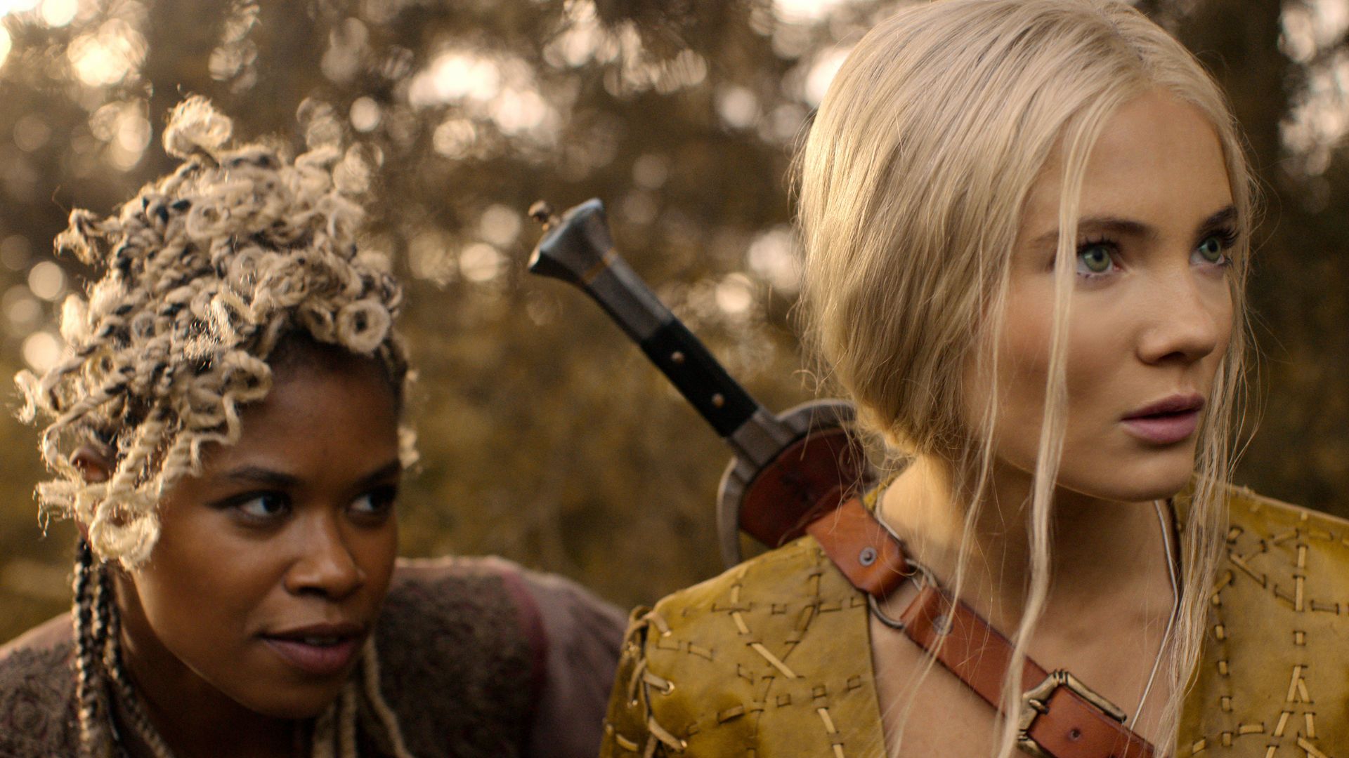 Ciri and Mistle look at something offscreen