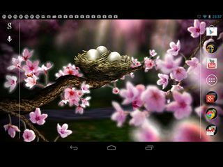 Season Zen Live Wallpaper