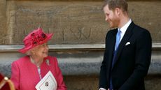 Prince Harry was confused by the Queen's 'cryptic' words