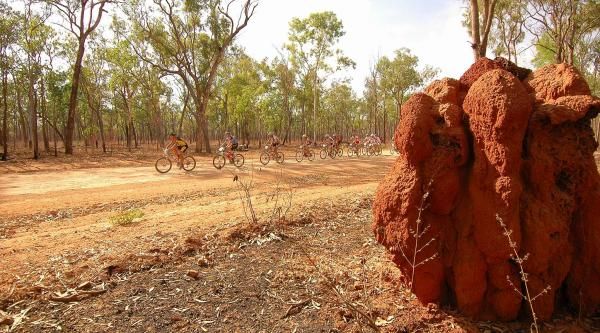 Riding through anthill country.