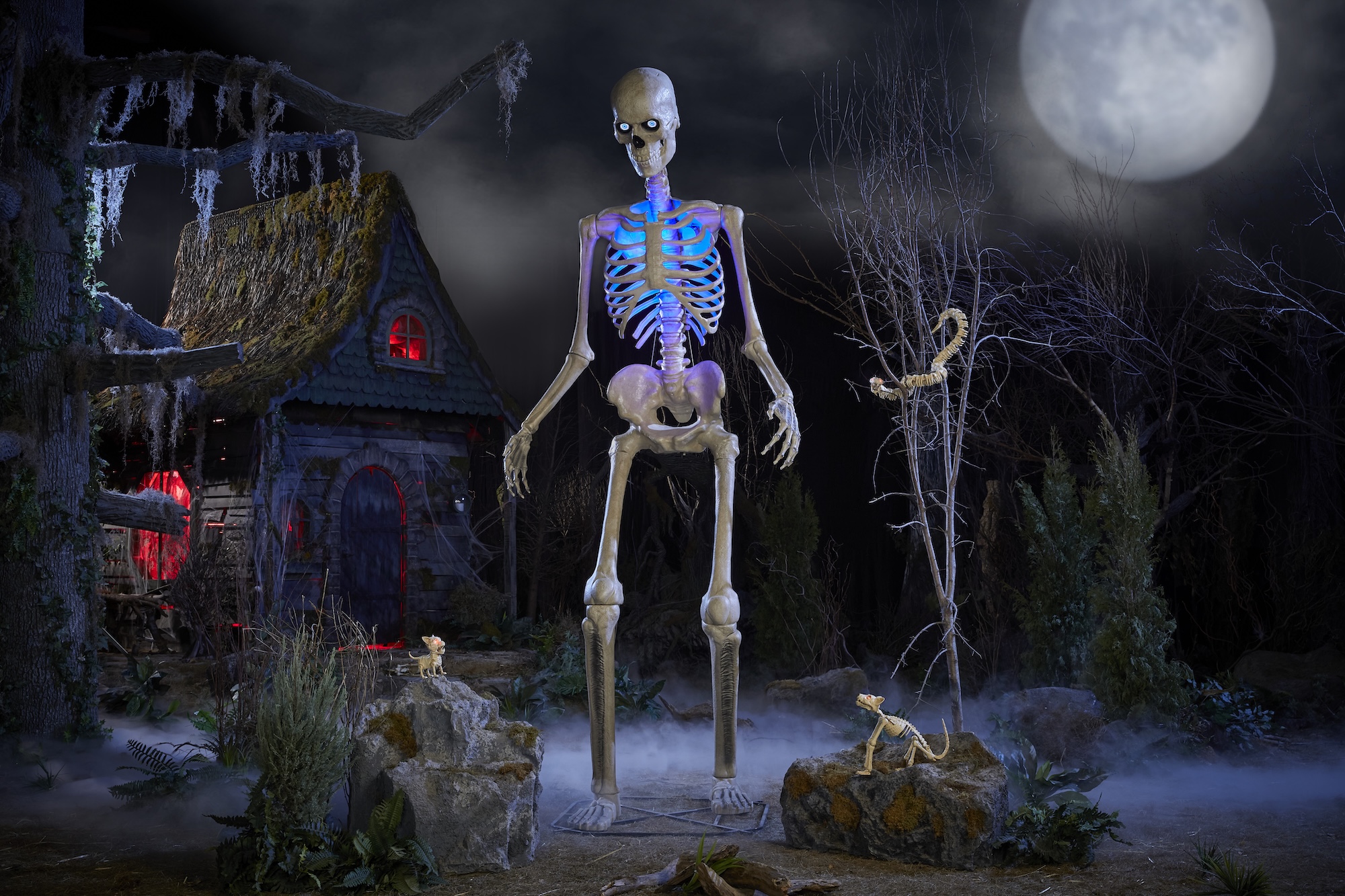 12-foot skeleton