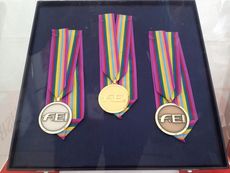 European medals