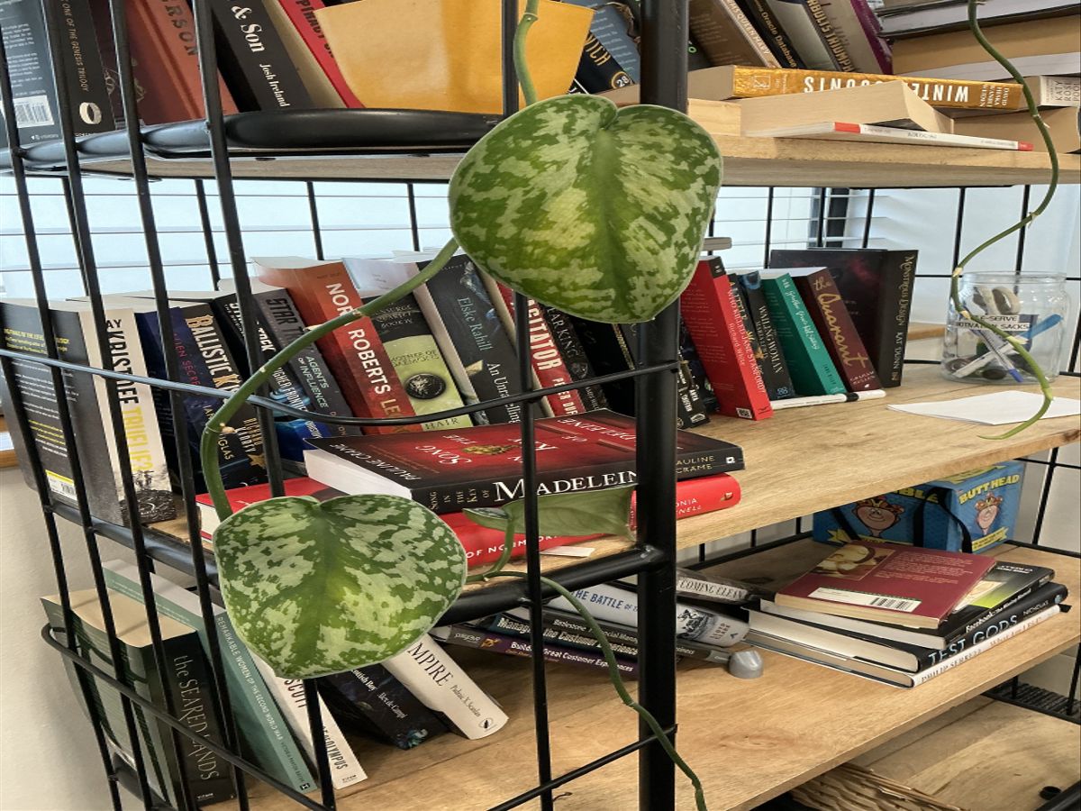 Photo samples from the new iPad Pro 13-inch (2024)