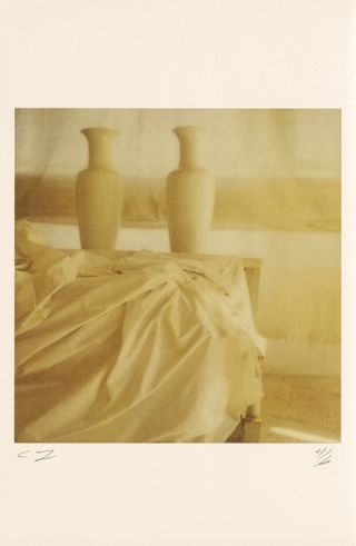 Untitled Polaroid, 2002, by Cy Twombly