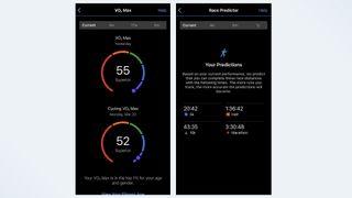 perfromance stats on the Garmin Connect app