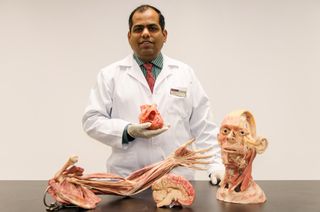 Anatomy professor Dinesh Srinivasan of Nanyang Technological University holding a plastinated human heart, with body parts (from left) left arm, brain and head