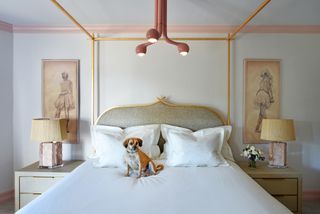 white bedroom with pink woodwork miniamlist gray bed and bedside tables with white bedlinen and dog on bed