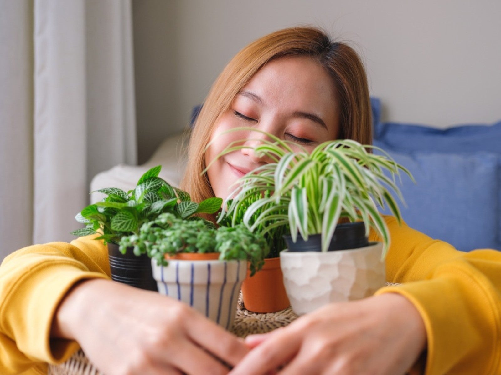 Houseplant Care That Just Plain Works