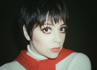 Liza Minnelli (played by Krysta Rodriguez) was a partying pal of Halston's.