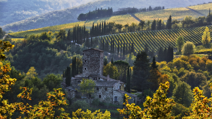 Chianti Tuscany, vineyards.