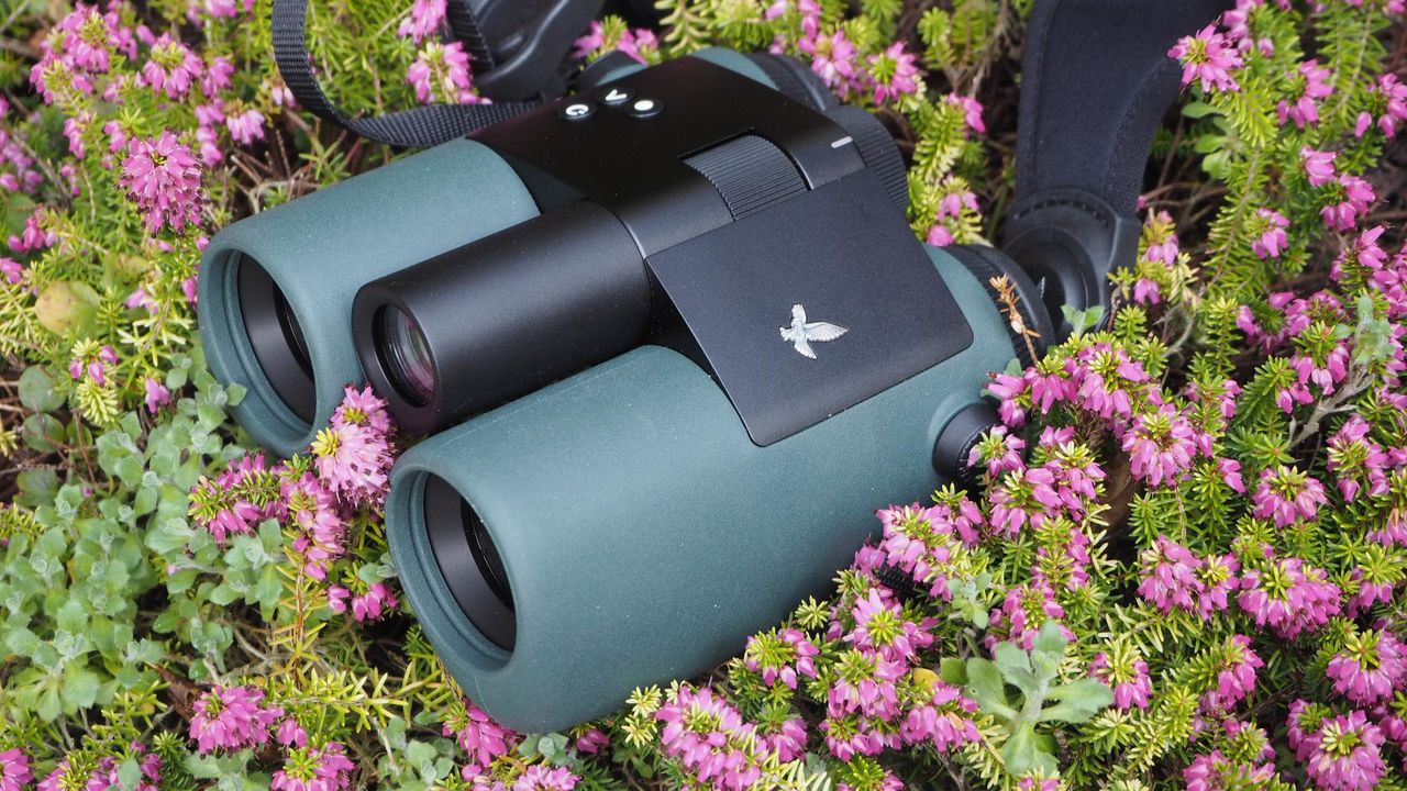 A pair of Swarovski Optik AX Visio smart binoculars laying on a flower bed.