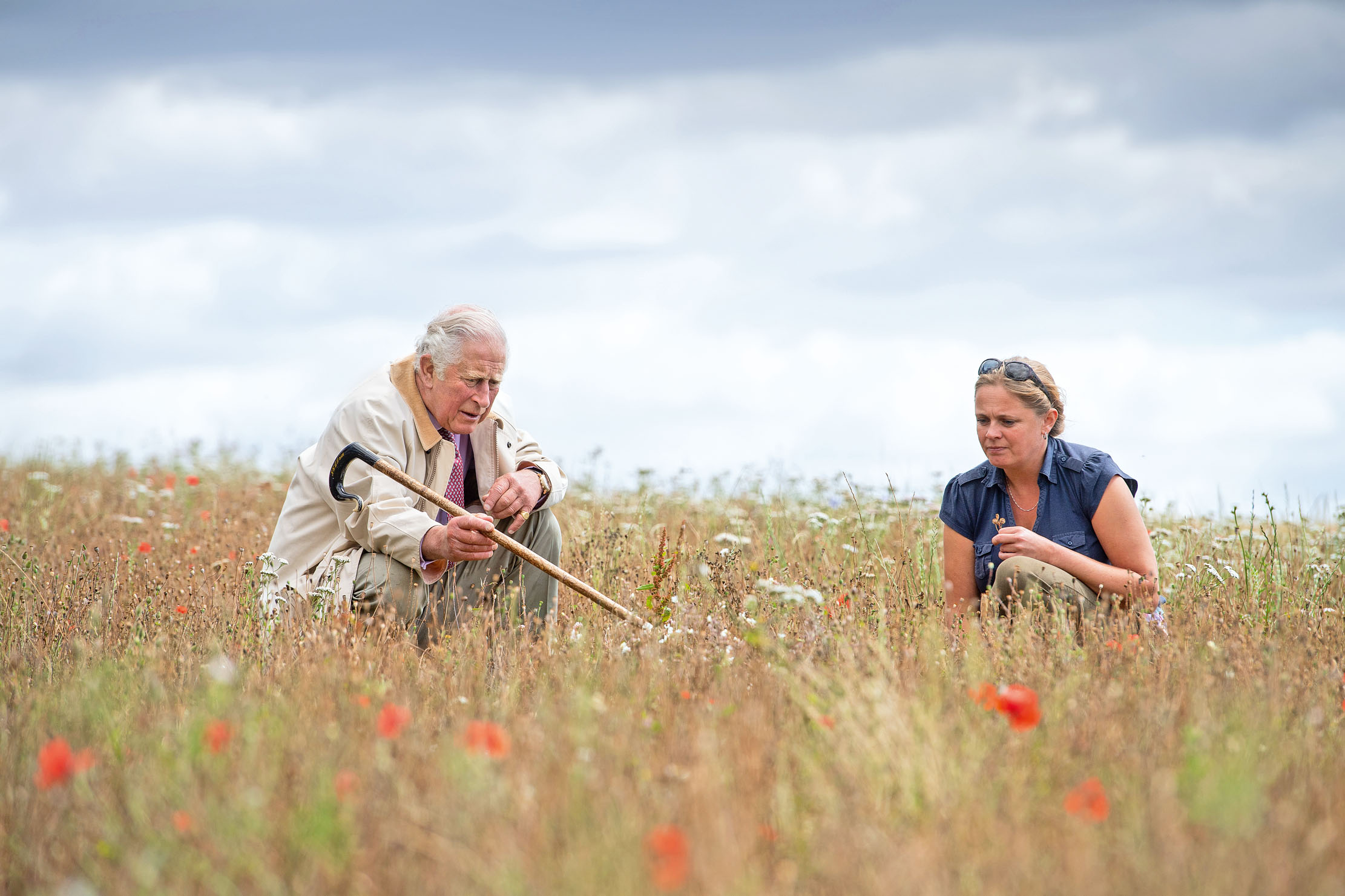 The Prince of Wales and Emily Swan of Natural England examine the host of species that earned the estate its designation as a site of importance. The Sandringham Estate, Norfolk. Photographed by Simon buck for Country Life.