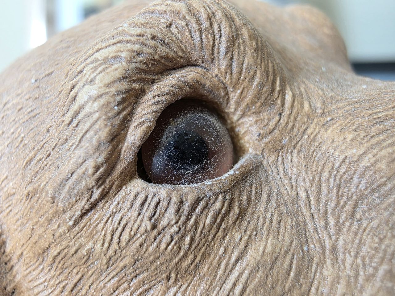 Samsung Galaxy S25 Ultra macro sample.