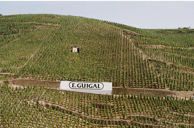 Guigal La Turque vineyard