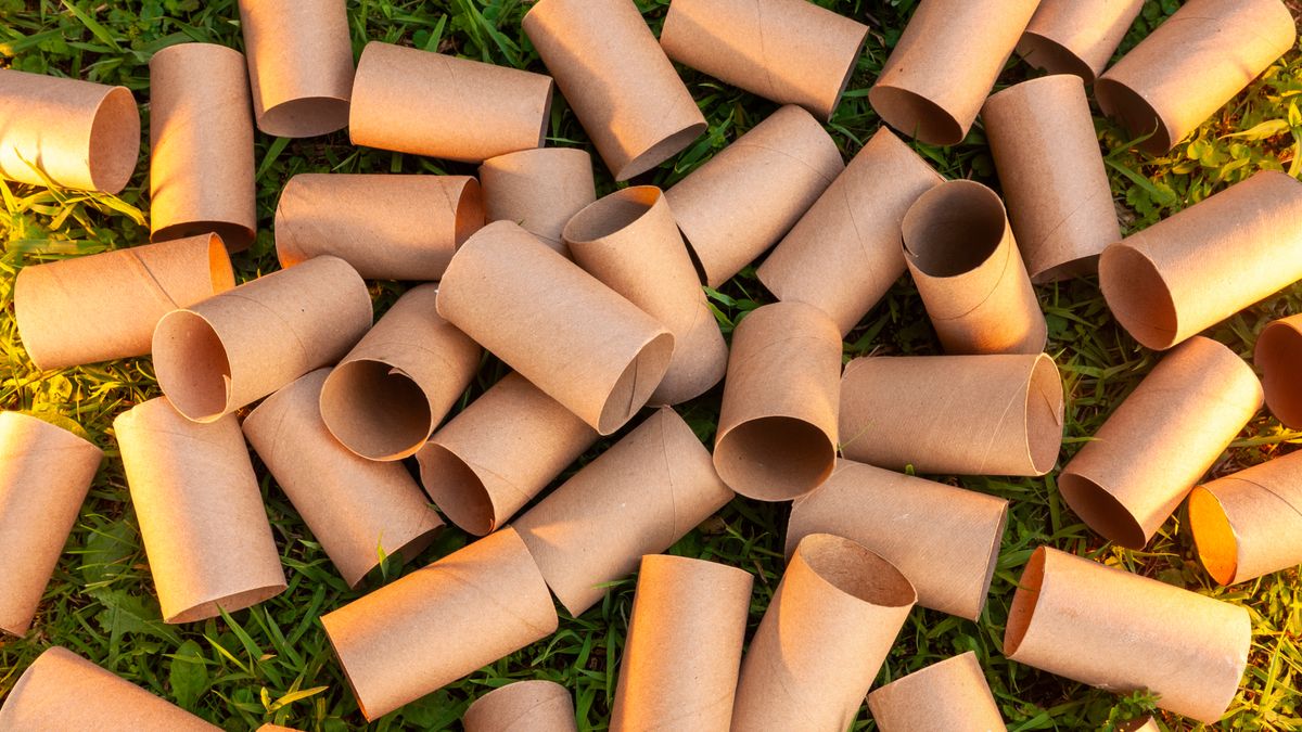 'I Always Save Old Toilet Paper Rolls to Use in My Garden' – 4 Smart Ways to Turn Trash Into Garden Treasure