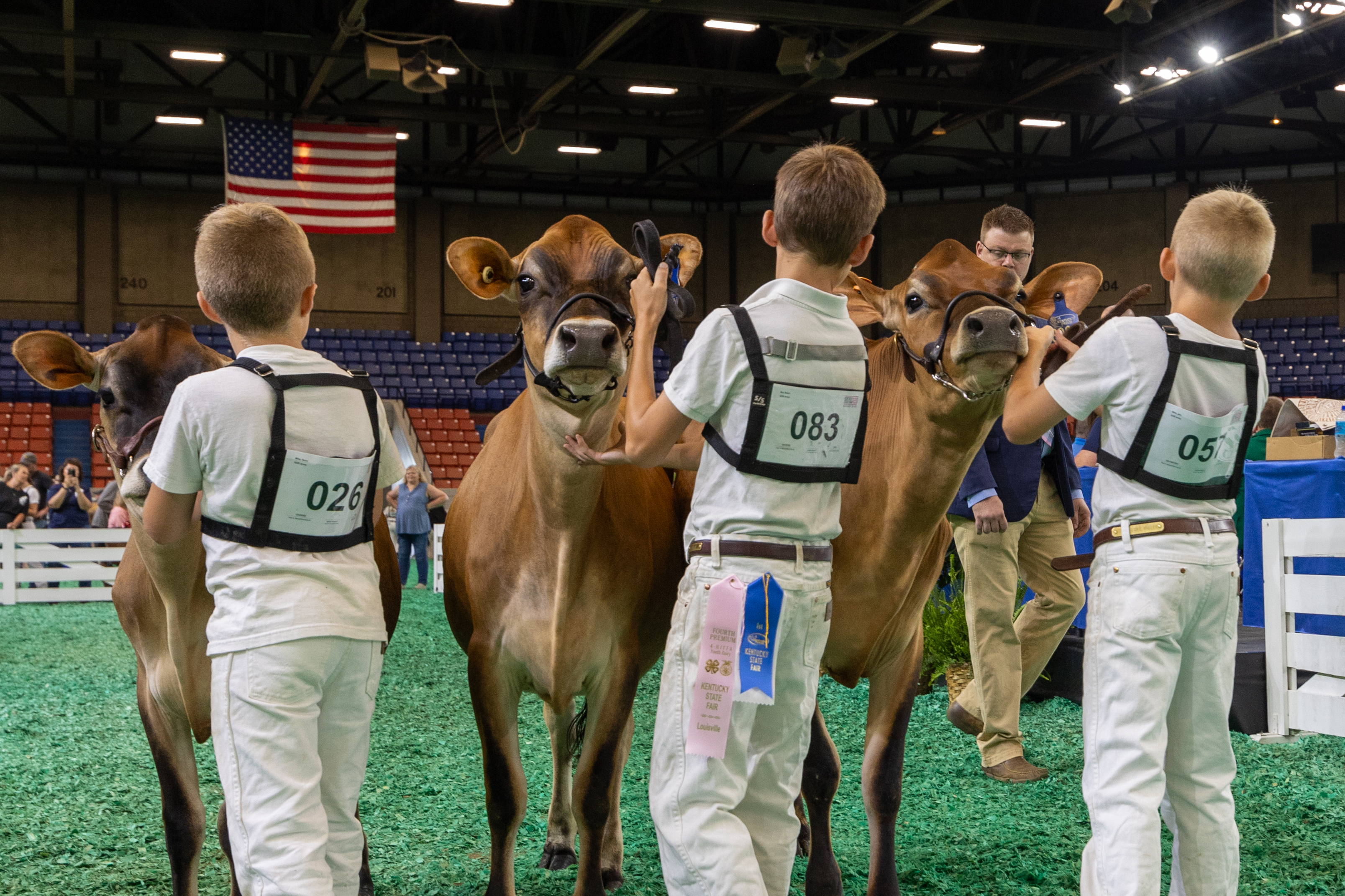 Kids show off their cows for judging at the Kentucky State Fair