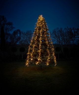 tree with christmas lights in garden