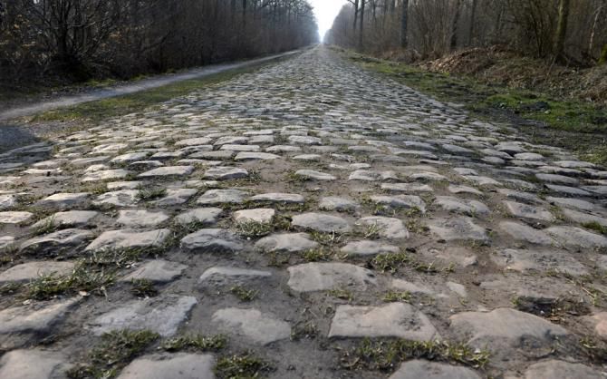 The Arenberg forest awaits...