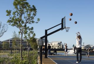 trees on left and people playing basketball on right hnd sid in cape town
