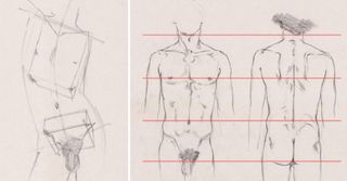 How to draw a torso: 04