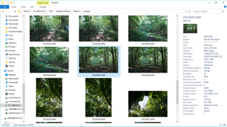 Fast Picture Viewer allows viewing of a huge range of files formats directly within Windows Explorer