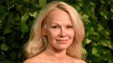 pamela anderson on a green background