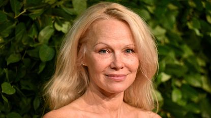 pamela anderson on a green background