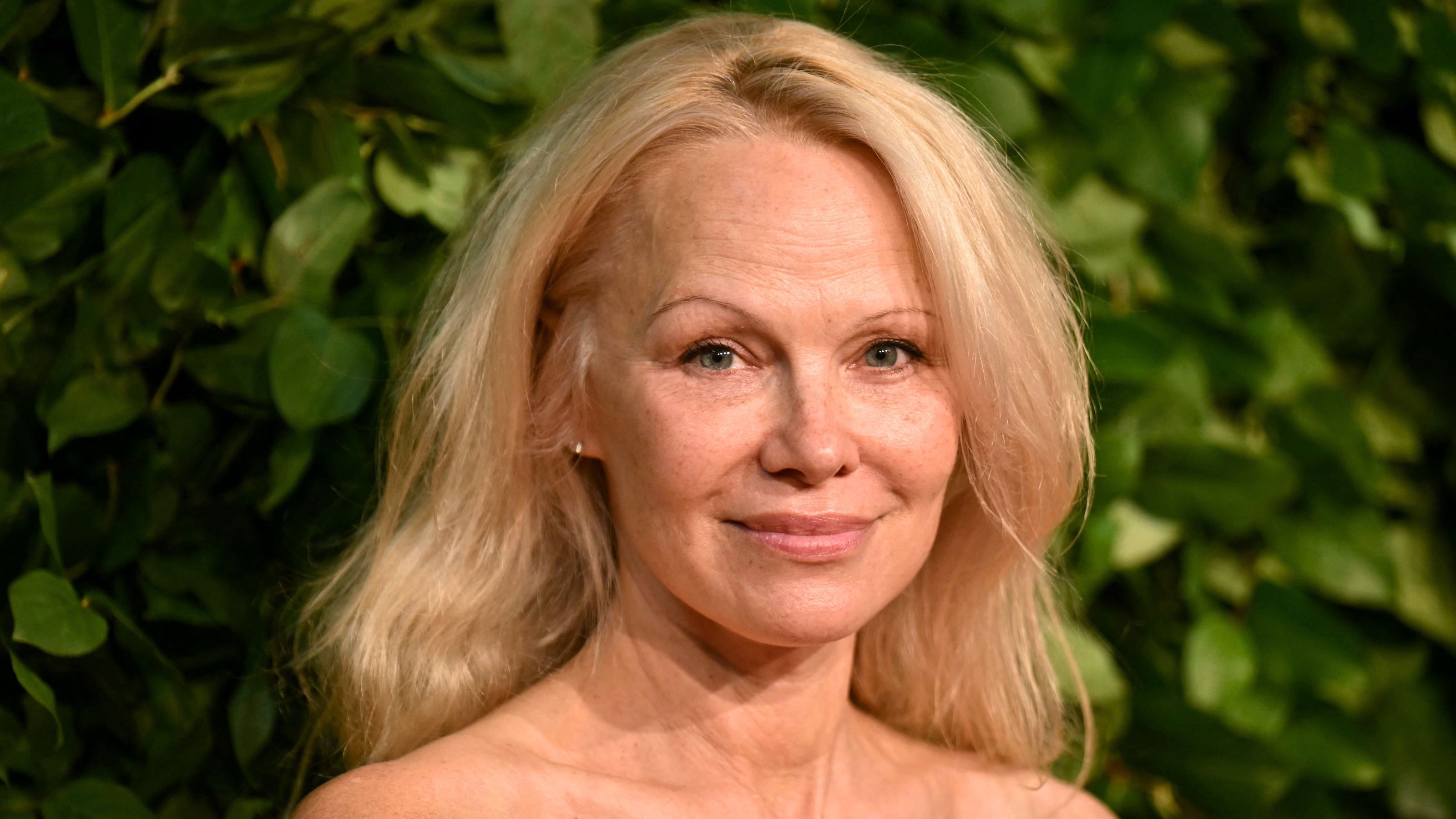 pamela anderson on a green background