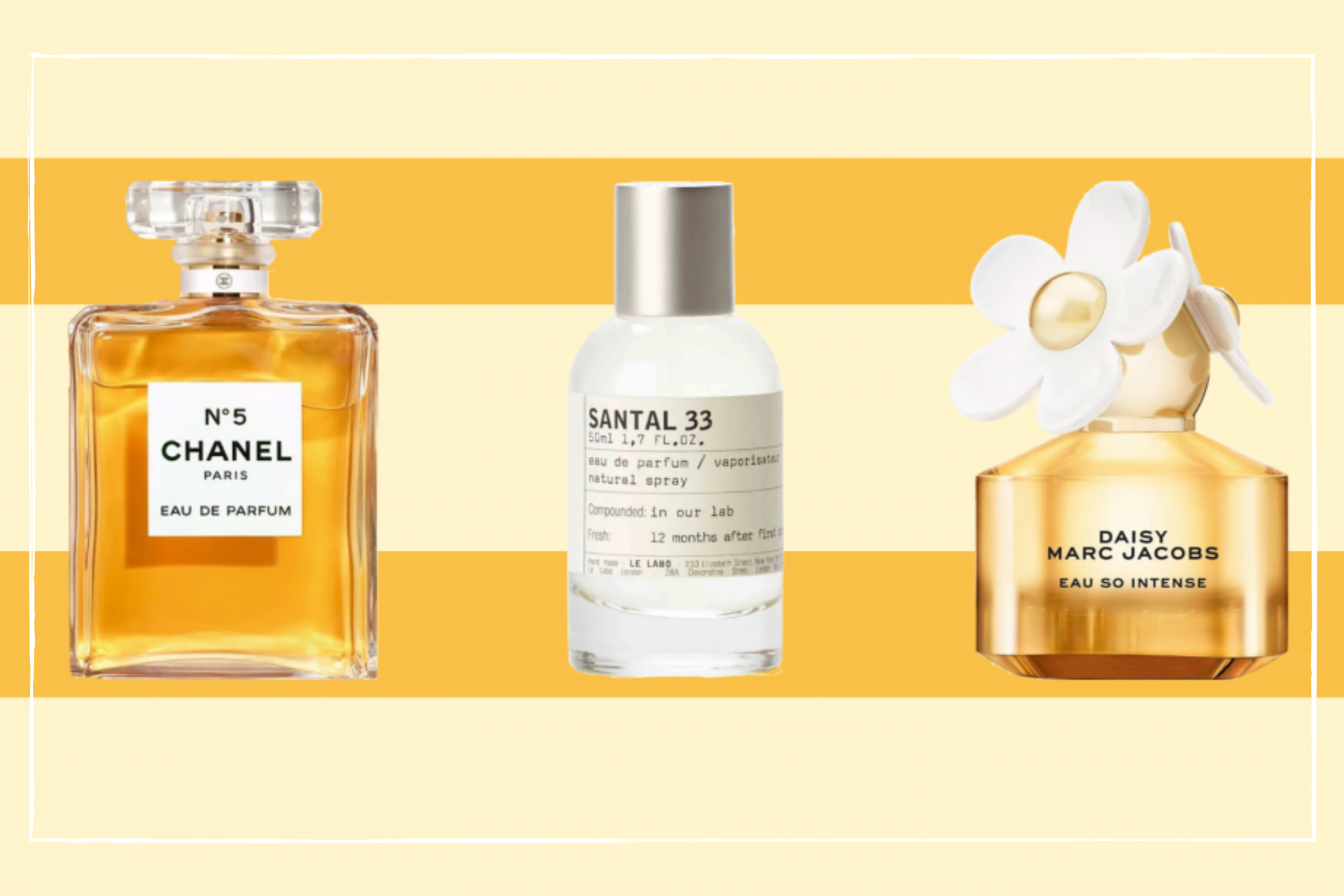 21 best perfumes of all time from classic scents to niche fragrances