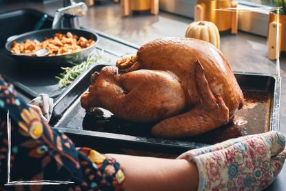 How to cook a turkey illustrated by a person preparing a turkey for Christmas or thanksgiving