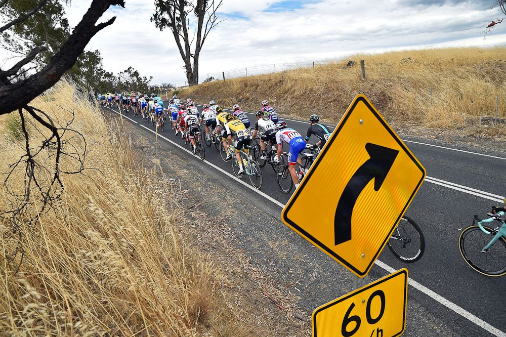The peloton winds its way through the Adelaide hills during stage 1 of the Tour Down Under