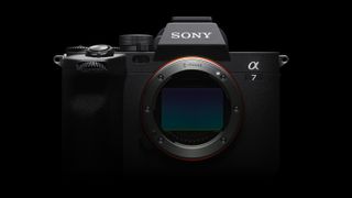 Sony A7 IV vs A7R IVA
