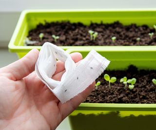 DIY seed tape