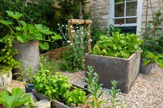 gravel garden with raised rectangular containers plante with mixed containers for veg