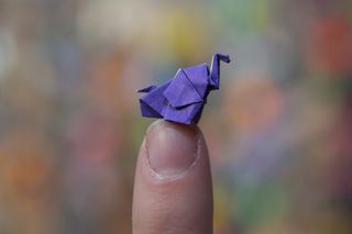 origami elephant at bronx zoo