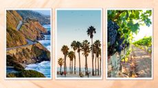 rocky California coastline, palm trees on Venice beach, grapes in vineyard