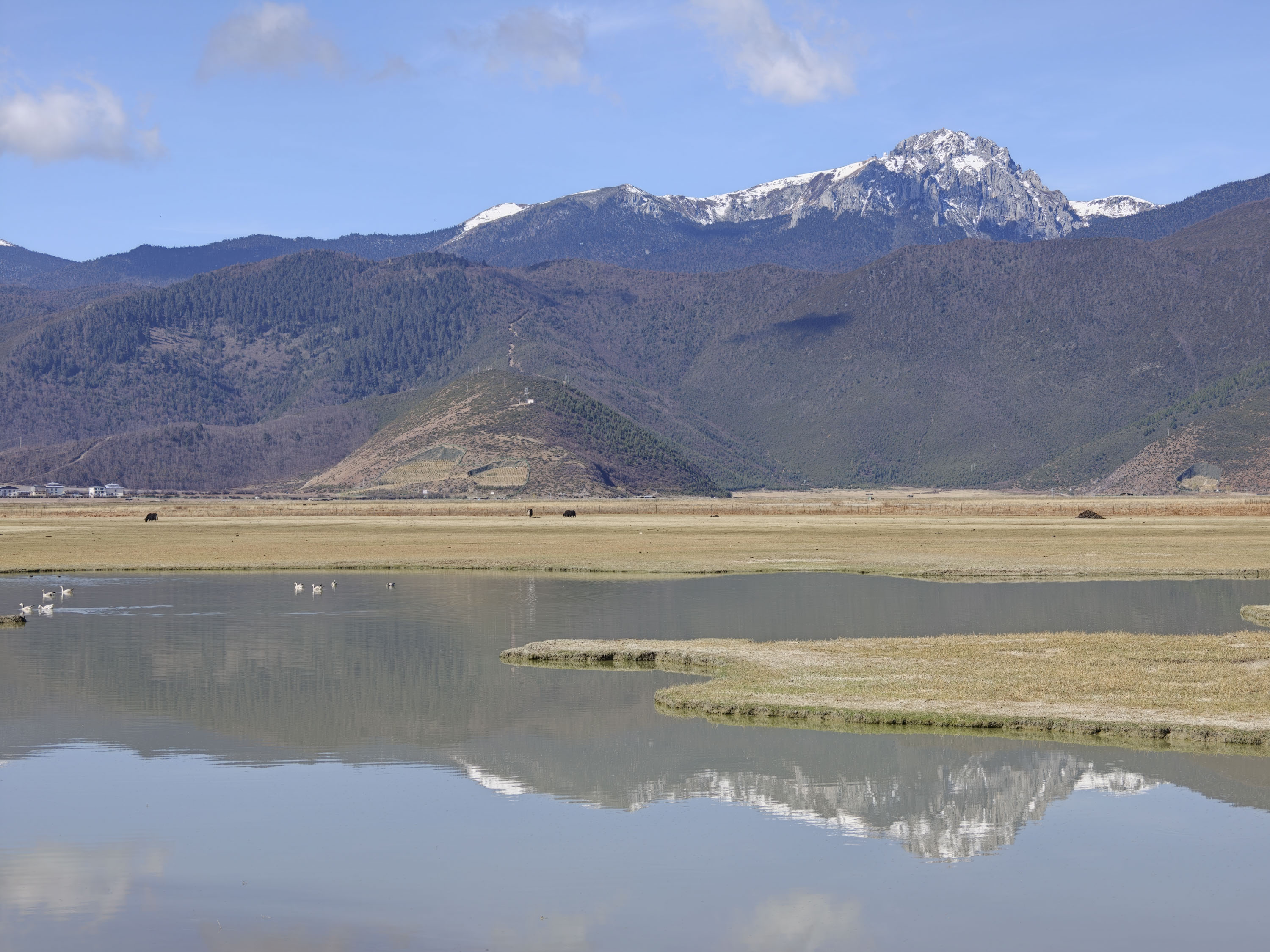 A snowcapped mountain, reflected in a perfectly still lake