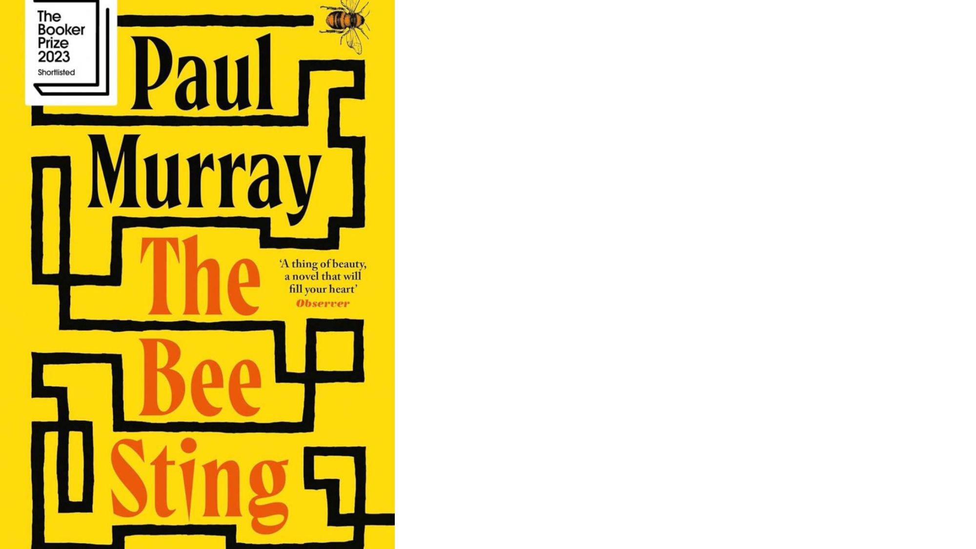 The Bee Sting by Paul Murray