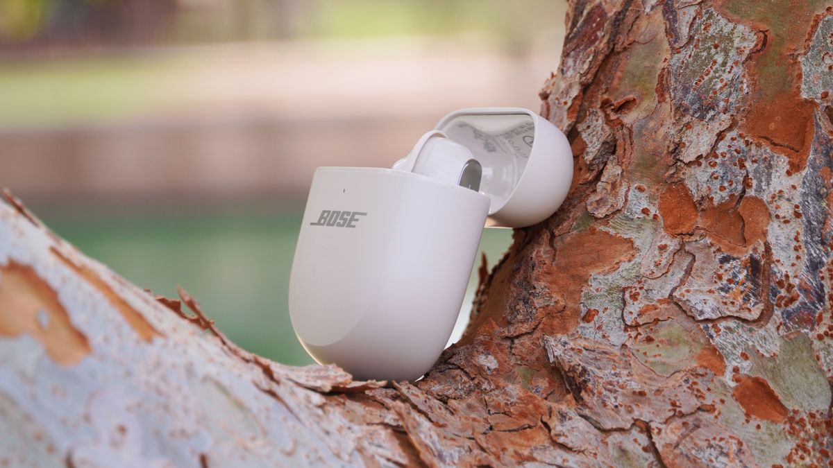 The Bose QuietComfort Ultra Gen 2 earbuds in their case in a tree.