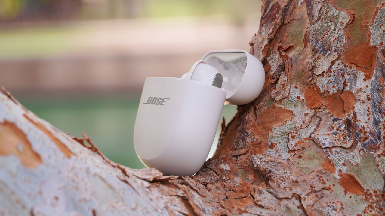 The Bose QuietComfort Ultra Gen 2 earbuds in their case in a tree.
