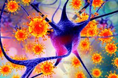 Virus with brain cells.