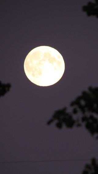 Bev Jaeger caught the Harvest Moon on a very clear night in Alberta, Canada, September 11, 2011.