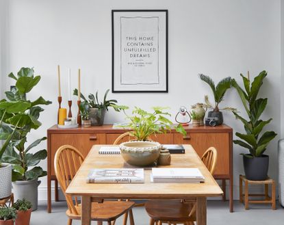 wood dining table with houseplants