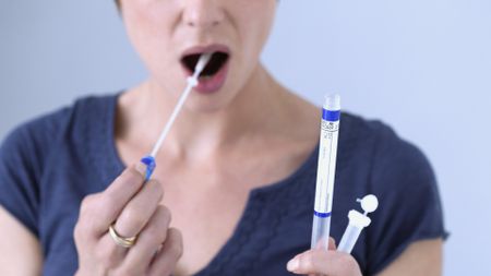A woman in a dark blue t shirt puts a saliva collection swap inside her cheek, her other hand holding a plastic vial.