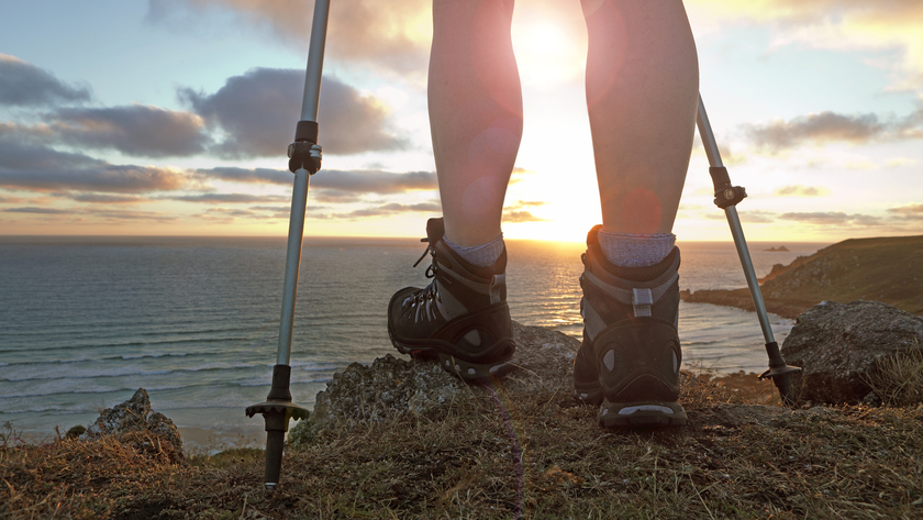 Black Diamond trekking poles