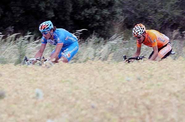 The break making their way through the fields.