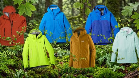 Selection of waterproof jackets against a background of trees on a rainy day