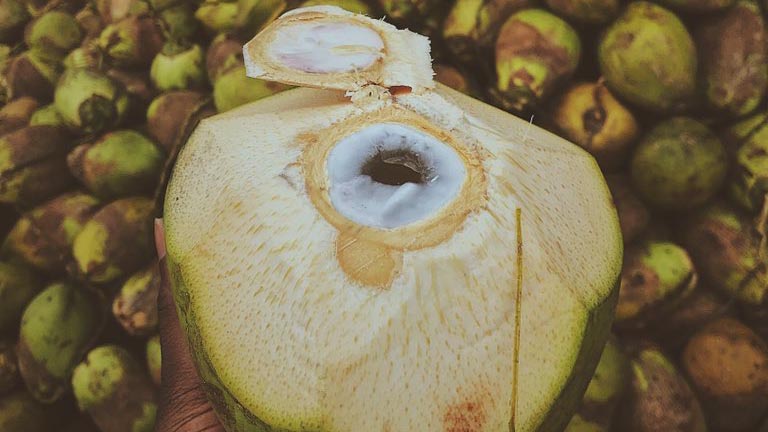 best coconut water